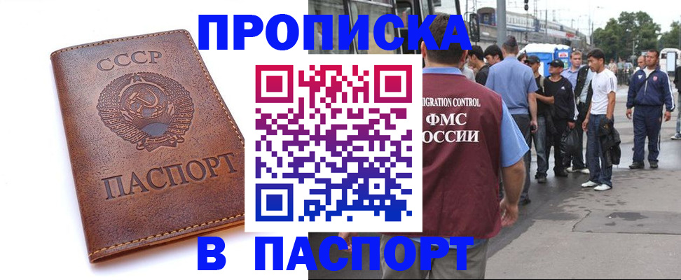 временная регистрация поиск в Благовещенске